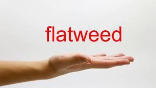 How to Pronounce flatweed - American English