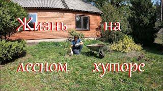 Лева - помощник. Деревенские будни.