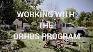 Working With the ORHBS Program