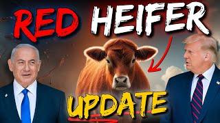 The Red Heifer Ceremony Is Going To Happen - Update from Jerusalem!