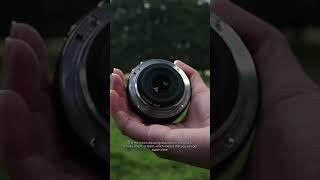 What Is the Minimum Focusing Distance of the Canon 24mm f2.8 STM?