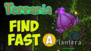 Terraria how to FIND PLANTERA bulb easy (2024) (NO EXPLORE)