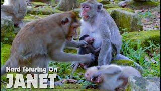 OMG! April Tutoring Janet Very Hard - Janet Cry Loudly Mum Jane Don't Help - Monkey Buzz 955