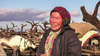 Reindeer herders of the Far North. The Klimov family | Yasavey