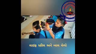 લાઇફ સ્કીલ અને બાલ મેળો 2023//shree VAVDA Primary school//