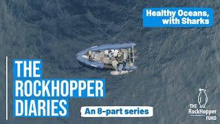 The RockHopper Diaries - Healthy Oceans, with Sharks.