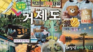 핫플 좋아 커플의! 대구 ▶️ 거제도 당일치기 / 가을여행  거제식물원, 카페 (짹짹커피, 메리클리프, 온더선셋) 소품샵, 매미성, 바람의언덕 핫도그, 해물칼국수, 목구멍