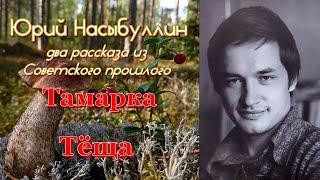 Два таёжных рассказа Юрия Насыбуллина из прошлого времени "Тамарка" и "Тёща".Читает Марина Багинская