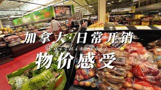 加拿大物价感受｜生活开销｜物价｜商品价格｜生活成本｜日常开支｜卡尔加里