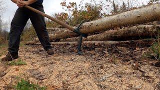 Essential Firewood Cutting Tools