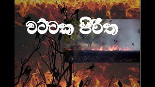 වට්ටක පිරිත | Wattaka Piritha | පිරිත් සහ ආරක්ෂක ගාථා