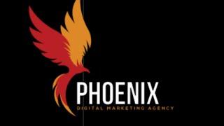 Phoenix Digital Marketing Agency - Organic Website Traffic