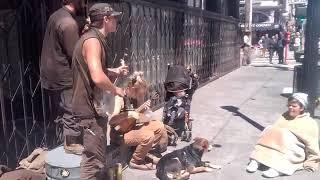 San Francisco Haight Street Performance