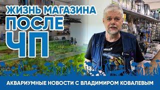 Аквариумные новости с Владимиром Ковалевым (25.03.2023). Как мы восстановились после ЧП.