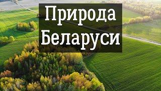 Природа Беларуси с высоты птичьего полёта