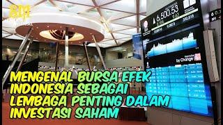 Apa Pentingnya Bursa Efek Indonesia dalam Investasi Saham