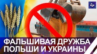 Фальшивая дружба: почему Польша запретила ввозить украинское зерно на свою территорию? Панорама