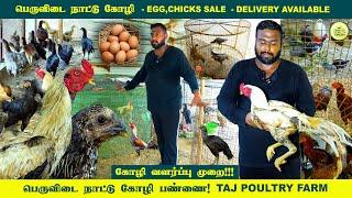 நாட்டுக்கோழி பண்ணை | Peruvidai Koli Valarpu tamil | Poultry Farm | Naattu Kozhi | Vlog Tamizha