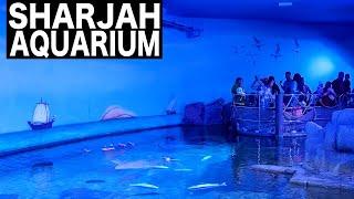 SHARJAH AQUARIUM & MARITIME MUSEUM | 4K | Sharjah Tourist Attraction