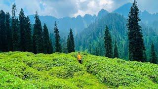 Baleja Meadows ||Explore Hidden Valley of kpk Pakistan || travel guide vlog by Tayyab khan swati