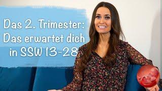 Das 2. Trimester: Alles was dich im zweiten Schwangerschaftsdrittel erwartet!