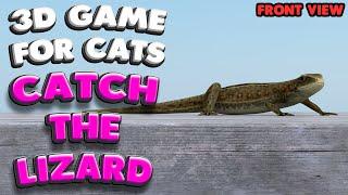 3D game for cats | CATCH THE LIZARD (front view) | 4K, 60 fps, stereo sound