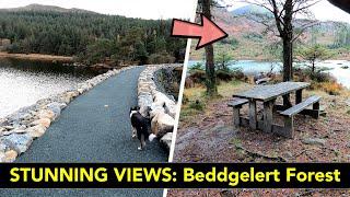 Stunning Views at Beddgelert Forest in ERYRI NATIONAL PARK