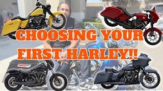 HOW TO CHOOSE YOUR FIRST HARLEY DAVIDSON?   #harleydavidson