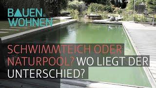 Garten / Pool: So cool ist ein Naturpool und das ist der Unterschied zum Pool?