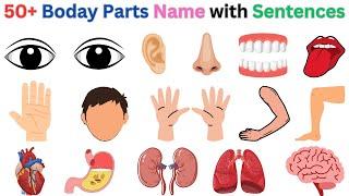 50 Basic Parts of the Body with pictures | English Sentences for Kids |  #kidslearning #bodyparts