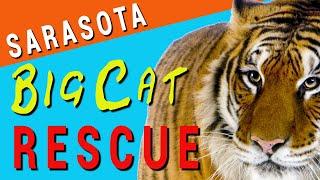 Big Cat Sanctuary - Sarasota, FL