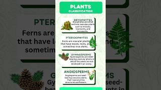 Plant Kingdom classification|Classification of plant|#pteridophytes #angiosperms #shorts#bryophytes