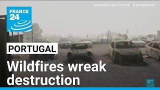 Locals survey destruction wreaked by Portugal wildfires • FRANCE 24 English