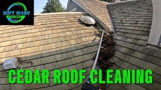 Cedar Roof Cleaning (Soft Wash Job)