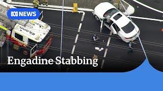 Police officer and three injured after crash and suspected stabbing in Sydney's south | ABC News