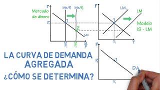 Aggregate demand curve, how is it determined? | Chapter 30 - Macroeconomics