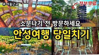 서울근교 10월 당일치기 가을 여행코스 (10월8일 오픈!/전부 무료) / 경기도 안성 가볼만한곳  / 수국동산 전망대