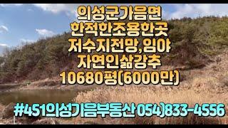 #451 의성가음부동산 포장도로접한 임야 10680평 (총6000만원) 주차공간확보된임야(야산) #의성군땅#군위군땅#가음땅#춘산땅#귀농귀촌#주말농장#싼땅#농가주택#임야#자연인#묘터