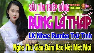 Sầu Tím Thiệp Hồng, Rừng Lá Thấp - LK Rumba Trữ Tình Hải Ngoại HAY NHẤT HIỆN NAY Nghe Êm Tai Dễ Ngủ