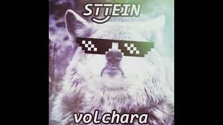 STTEIN - VOLCHARA #hardbass #russian #rave