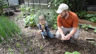 Vegetable Garden for a Family of Five (PNW Garden Tour)