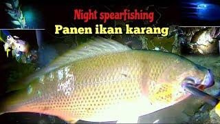 NIGHT SPEARFISHING EPISODE 25 | FISH HUNTING AT NIGHT