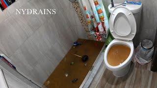 Clogged Drain #148