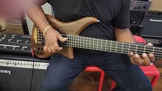 Alembic Epic 5  USA   @ Lahiru Guitar Shop Sri Lanka