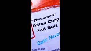 Asian Carp for Catfish Cut Bait