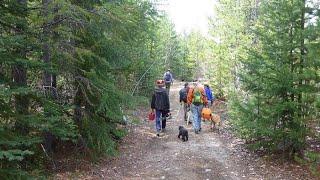 Trail Committee 2015 Trail Maintenance Day