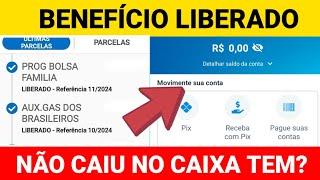 BOLSA FAMÍLIA DESBLOQUEADO: BOLSA FAMÍLIA LIBERADO MAS NÃO CAIU NA CONTA DO CAIXA TEM. O QUE FAZER?