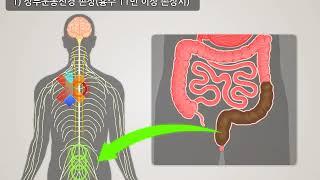 [국립재활원 재활교육 동영상] 5. 척추손상인을 위한 배변관리