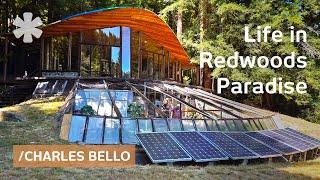 Guide to the Good Life from architect-farmer amid redwoods: 55 years off-grid