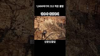 팔용산, 돌탑공원, 1,000여기의 크고 작은 돌탑, 성황당돌탑, 애기돌탑, 돌탑 군락지